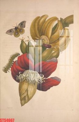 File in ấn Tranh sơn dầu phương tây tổng hợp STS4667 (bản gốc) cao cấp