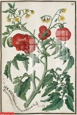 Ảnh gốc file in lụa Tranh sơn dầu phương tây tổng hợp STS47826 chi tiết