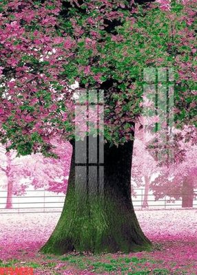 File PSD Tranh sơn dầu phương tây tổng hợp STS4834 (gốc) nhiều lớp (multi-layer)