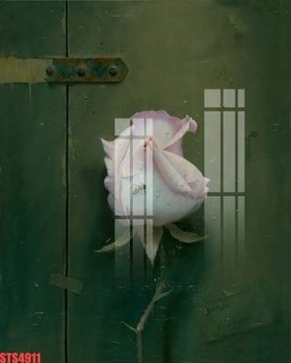 File gốc Tranh sơn dầu phương tây tổng hợp STS4911 (in ấn) màu sắc trung thực