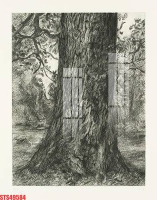 Chi tiết file gốc Tranh sơn dầu phương tây tổng hợp STS49584 (cho in tráng gương)