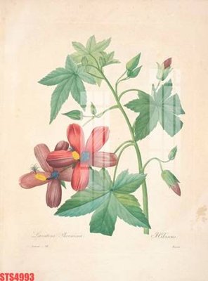 File ảnh Tranh sơn dầu phương tây tổng hợp STS4993 (gốc) in quảng cáo ngoài trời