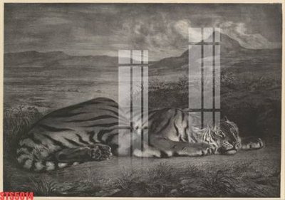 File in trần Tranh sơn dầu phương tây tổng hợp STS5014 (bản gốc) 5D