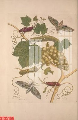 Download file Tranh sơn dầu phương tây tổng hợp STS5166 (gốc) in mica cao cấp