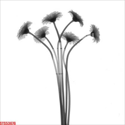 Tải file Tranh sơn dầu phương tây tổng hợp STS53676 (ảnh gốc) file TIFF