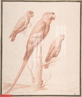 Tải file gốc Tranh sơn dầu phương tây tổng hợp STS53841 (in tráng gương) siêu đẹpFile tranh gốc Tranh sơn dầu phương tây tổng hợp STS53841 chất lượng cao