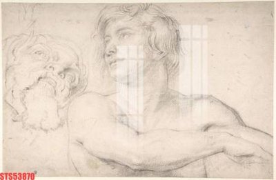 Tải file Tranh sơn dầu phương tây tổng hợp STS53870 (gốc) chủ đề hoa sen