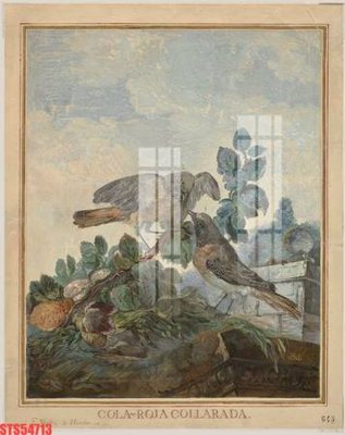 File in lụa Tranh sơn dầu phương tây tổng hợp STS54713 (tân cổ điển) Tranh sơn dầu phương tây tổng hợp STS54713