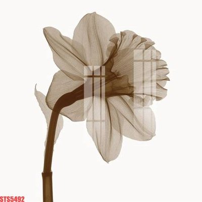 Tải file Tranh sơn dầu phương tây tổng hợp STS5492 (ảnh gốc) in gạch men