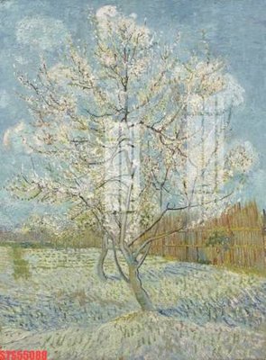 Tải file tranh Tranh sơn dầu phương tây tổng hợp STS55088 (gốc) tại Filetranh.com