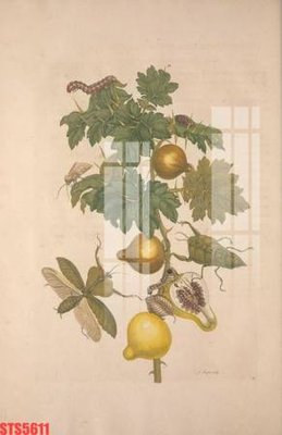 Tệp tin gốc Tranh sơn dầu phương tây tổng hợp STS5611 (dùng cho in ấn) chuyên nghiệp