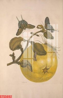 Tải file gốc Tranh sơn dầu phương tây tổng hợp STS5692 (in khổ lớn) không mờ