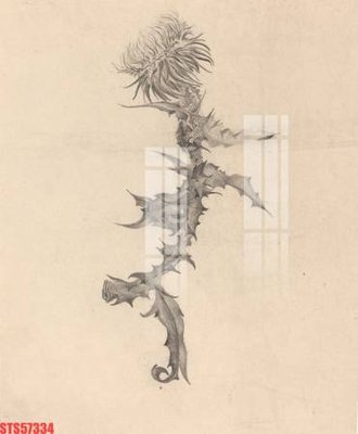 File tranh Tranh sơn dầu phương tây tổng hợp STS57334 (ảnh gốc) in trần xuyên sáng