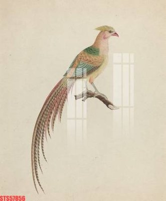 Tải file Tranh sơn dầu phương tây tổng hợp STS57856 (ảnh gốc) in tranh kính