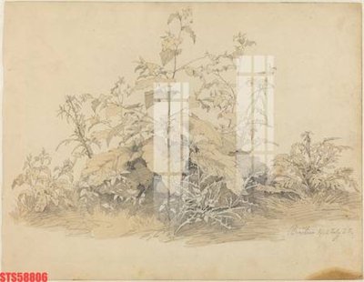 Tải file tranh Tranh sơn dầu phương tây tổng hợp STS58806 (gốc) tại Filetranh.com