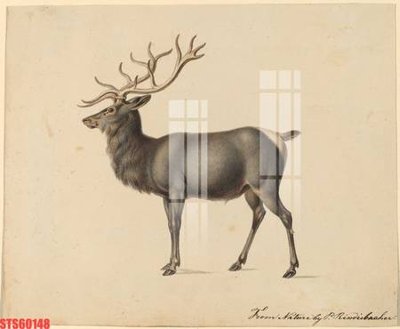 File tranh Tranh sơn dầu phương tây tổng hợp STS60148 (bản gốc) in lụa dán tường