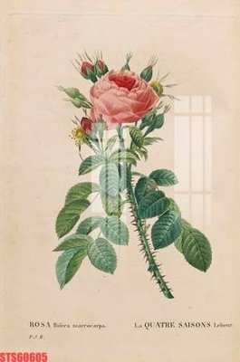 File tranh Tranh sơn dầu phương tây tổng hợp STS60605 (gốc) chủ đề trẻ em