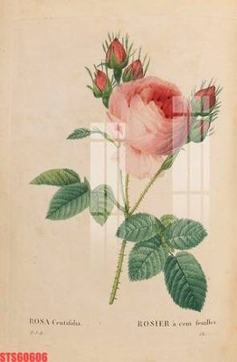 File in mica Tranh sơn dầu phương tây tổng hợp STS60606 (bản gốc) làm vách ngăn