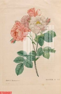 Tải file gốc Tranh sơn dầu phương tây tổng hợp STS60607 (để in lụa)