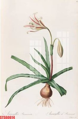 File in lụa Tranh sơn dầu phương tây tổng hợp STS60614 (tân cổ điển) Tranh sơn dầu phương tây tổng hợp STS60614