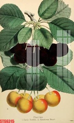 Tải file gốc Tranh sơn dầu phương tây tổng hợp STS6215 (in khổ lớn) không vỡ