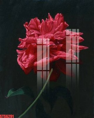 Tải file Tranh sơn dầu phương tây tổng hợp STS6291 (ảnh gốc) file TIFF