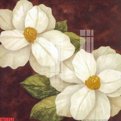 Tải file Tranh sơn dầu phương tây tổng hợp STS6341 (ảnh gốc) in tráng gương