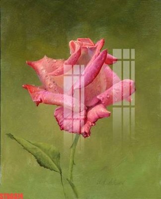 File in trần Tranh sơn dầu phương tây tổng hợp STS6374 (bản gốc) trời sao