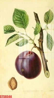 Mua file tranh gốc Tranh sơn dầu phương tây tổng hợp STS6544 tại Filetranh.com