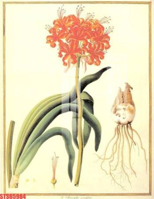 Chi tiết file ảnh Tranh sơn dầu phương tây tổng hợp STS65984 sắc nét