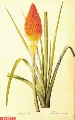 Download file gốc Tranh sơn dầu phương tây tổng hợp STS65989 (in mica) trong suốt