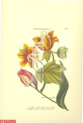 Download file tranh Tranh sơn dầu phương tây tổng hợp STS65995 (file gốc PSD)