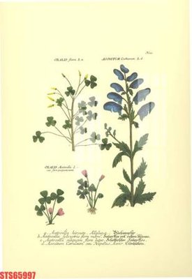 Hình ảnh gốc Tranh sơn dầu phương tây tổng hợp STS65997 (để in khổ lớn)