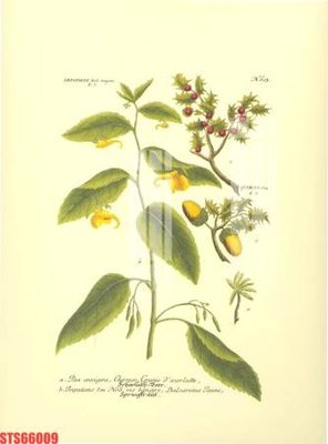 File gốc Tranh sơn dầu phương tây tổng hợp STS66009 (in lụa) trang trí tường