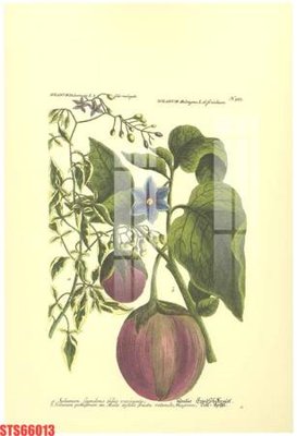 Tải file gốc Tranh sơn dầu phương tây tổng hợp STS66013 (in khổ lớn) không mờ