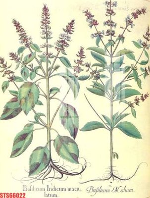 File in trần Tranh sơn dầu phương tây tổng hợp STS66022 (file gốc) xuyên sáng