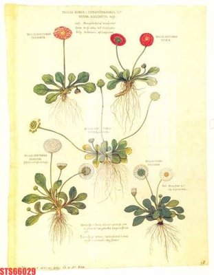 Download file gốc Tranh sơn dầu phương tây tổng hợp STS66029 (độ nét cao)