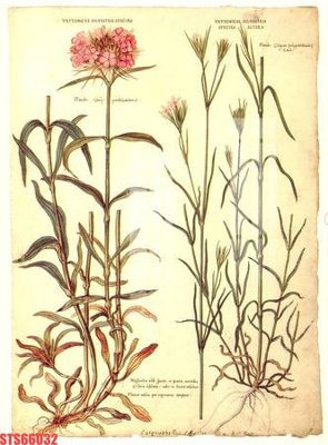 File gốc Tranh sơn dầu phương tây tổng hợp STS66032 (in lụa) cao cấp