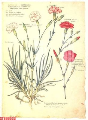 File gốc Tranh sơn dầu phương tây tổng hợp STS66033 (dành cho quảng cáo)