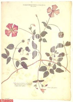 File tranh Tranh sơn dầu phương tây tổng hợp STS66035 (ảnh gốc) chi tiết rõ ràng