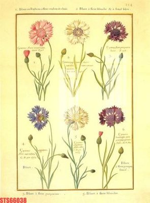 File tranh quảng cáo Tranh sơn dầu phương tây tổng hợp STS66038 (file gốc) chuyên nghiệp