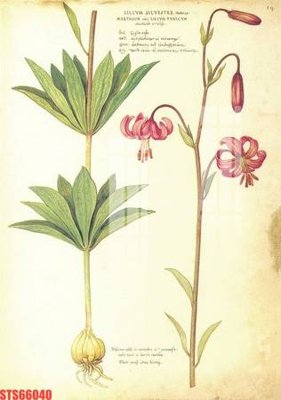 File in ấn chuyên nghiệp Tranh sơn dầu phương tây tổng hợp STS66040 (file gốc)