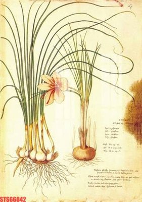 Download file Tranh sơn dầu phương tây tổng hợp STS66042 (gốc) in mica cao cấp