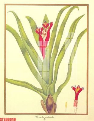 File tranh Tranh sơn dầu phương tây tổng hợp STS66049 (gốc) in backlit film