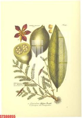 File gốc Tranh sơn dầu phương tây tổng hợp STS66055 (PNG) không nền chất lượng