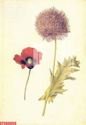 File gốc Tranh sơn dầu phương tây tổng hợp STS66059 (PNG) chất lượng cao