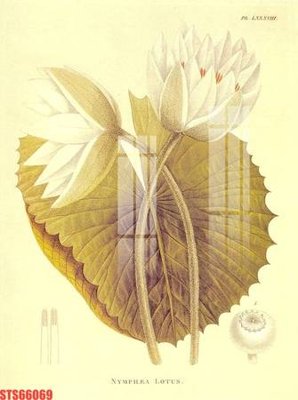 File tranh in mica Tranh sơn dầu phương tây tổng hợp STS66069 (độ phân giải cao)