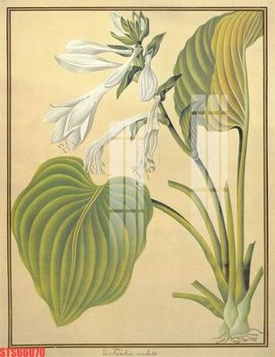 File tranh Tranh sơn dầu phương tây tổng hợp STS66070 (bản gốc) in canvas