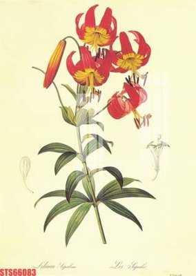 File PSD in ấn Tranh sơn dầu phương tây tổng hợp STS66083 (chất lượng cao)