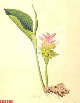 File PSD Tranh sơn dầu phương tây tổng hợp STS66084 (gốc) tách lớp chi tiết